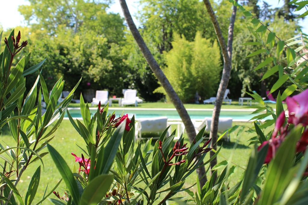 Appartamento L'Islo Bamboo Saumane-de-Vaucluse Esterno foto